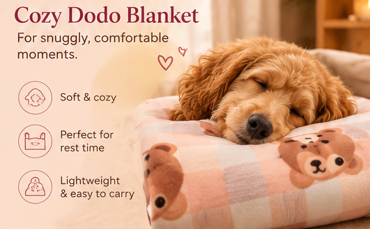 The Cozy Diwali Hamper for Pets