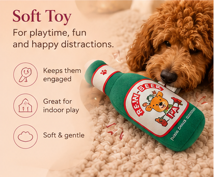 The Cozy Diwali Hamper for Pets