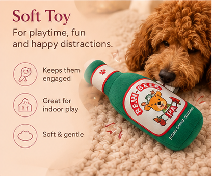 The Cozy Diwali Hamper for Pets