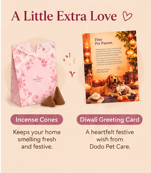 The Cozy Diwali Hamper for Pets