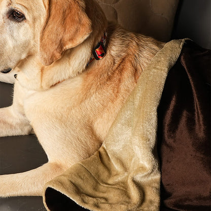 Dog resting comfortably on a sofa wrapped in the Cocoon Blanket, showing soft reversible plush fabric in beige and brown for warmth and comfort