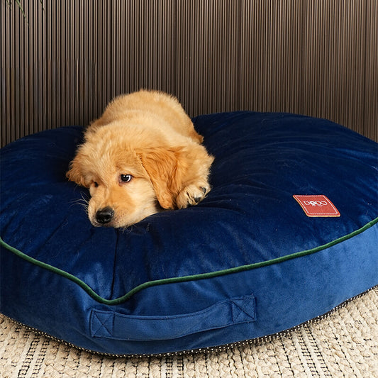 Puppy resting comfortably on Luna Round Bed made of soft blue velvet with cushioned support in a cozy indoor setting