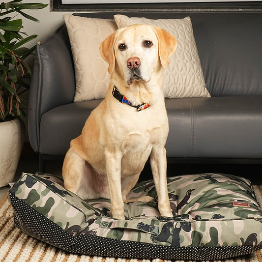 Dog sitting comfortably on Military Bed featuring camouflage design and anti-slip base, placed in a modern indoor living room setting