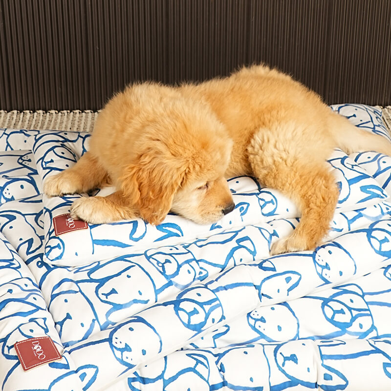 Golden retriever puppy resting peacefully on the Paw Pop Bed, featuring a soft quilted cushion with playful blue dog illustrations and plush comfort for pets.