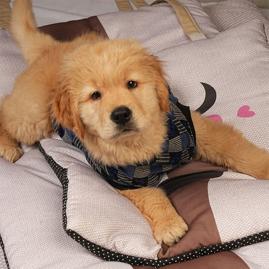 Puppy relaxing on a Sniffy travel mat with soft quilted padding, demonstrating comfort, support, and cozy design ideal for home, travel, and outdoor pet use