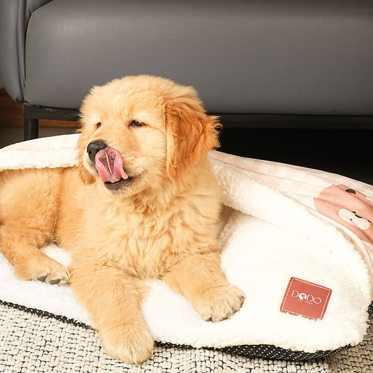 Golden retriever puppy relaxing on the Teddy Snug Bed with soft white sherpa lining, featuring the DODO Pet Care logo, placed indoors near a sofa for a cozy home setting.